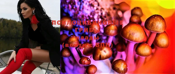 прущая мука Алзамай