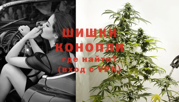 винт Алексин