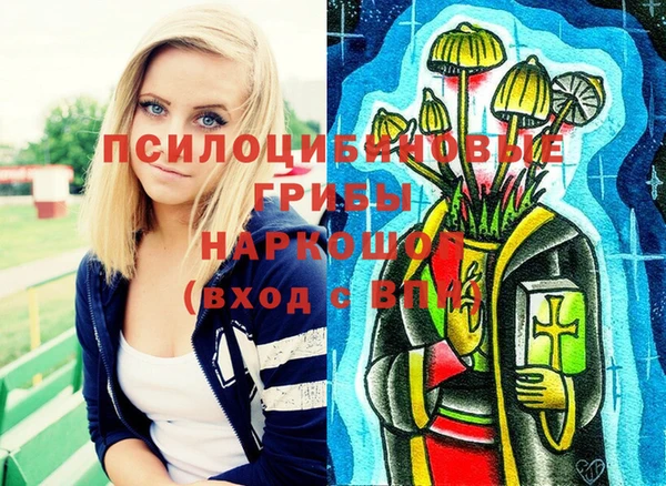 прущая мука Алзамай