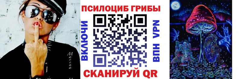 маркетплейс клад  Нижнеудинск  Галлюциногенные грибы Psilocybine cubensis  продажа наркотиков 