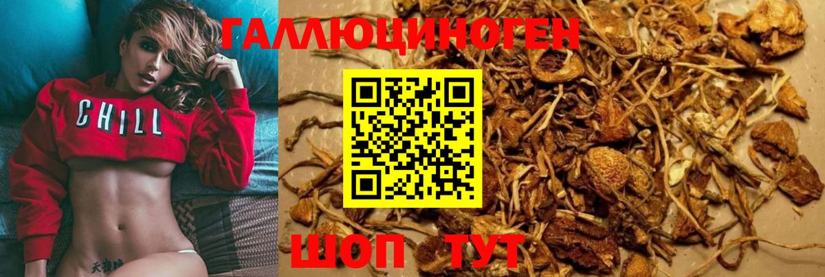 Галлюциногенные грибы GOLDEN TEACHER Нижнеудинск